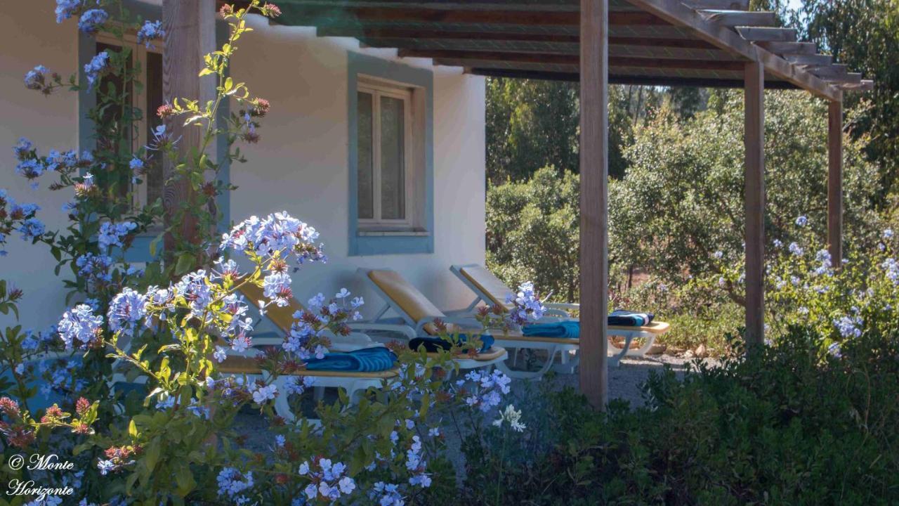 Monte Horizonte - Turismo Rural - Adults Only Santiago do Cacém Exterior foto